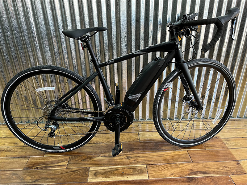 10 speed e-assist bicycle