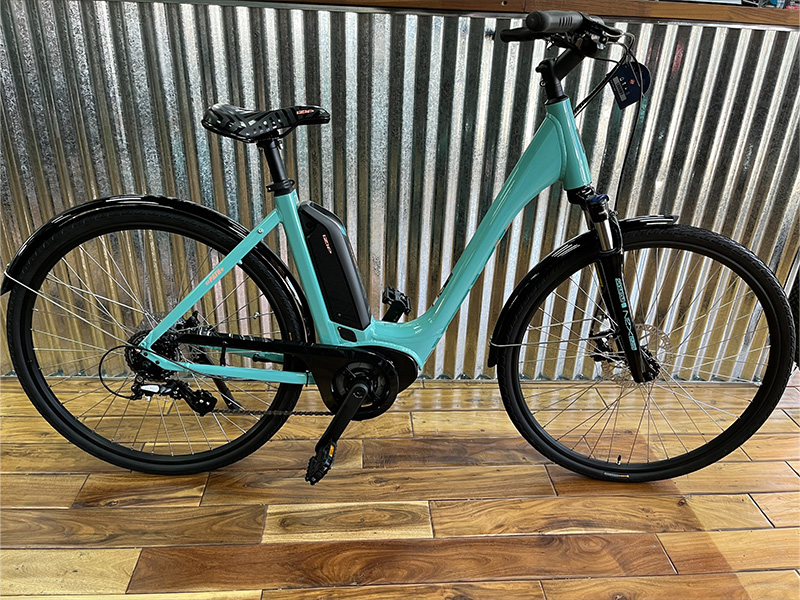 bicycle with e-assist rental